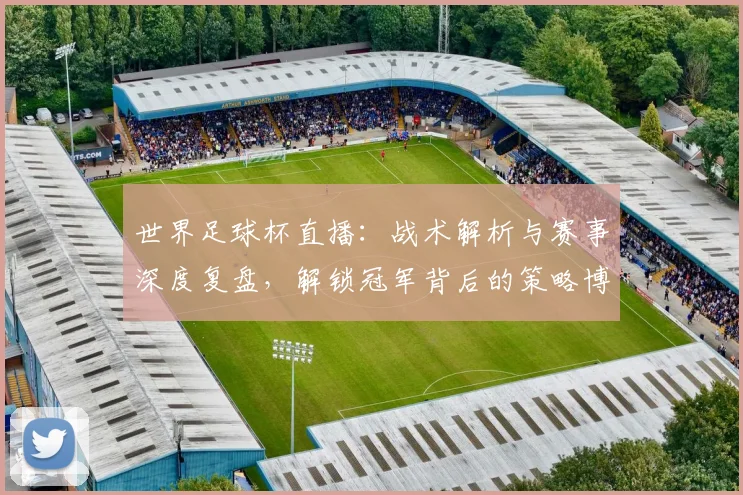 世界足球杯直播：战术解析与赛事深度复盘，解锁冠军背后的策略博弈