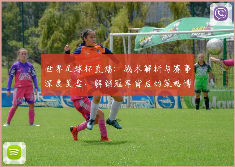 世界足球杯直播：战术解析与赛事深度复盘，解锁冠军背后的策略博弈